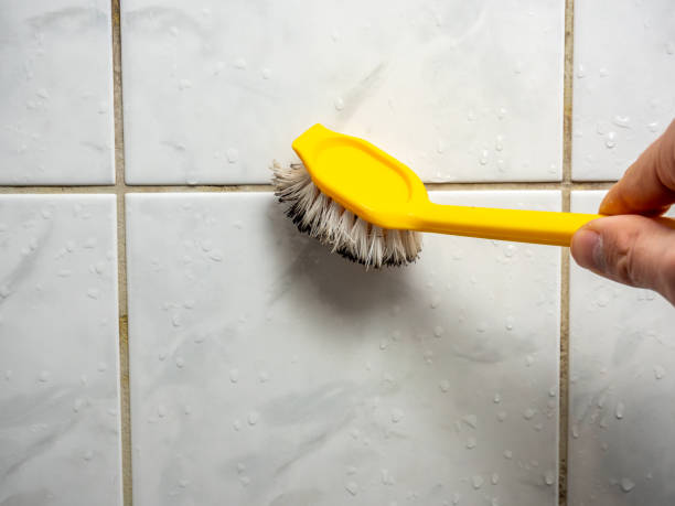 Best Commercial Mold Removal  in Ucon, ID