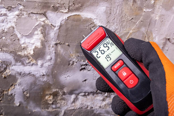 Crawl Space Mold Removal in Ucon, ID
