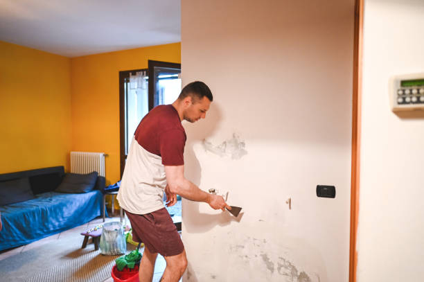 Best Toxic Mold Removal  in Ucon, ID