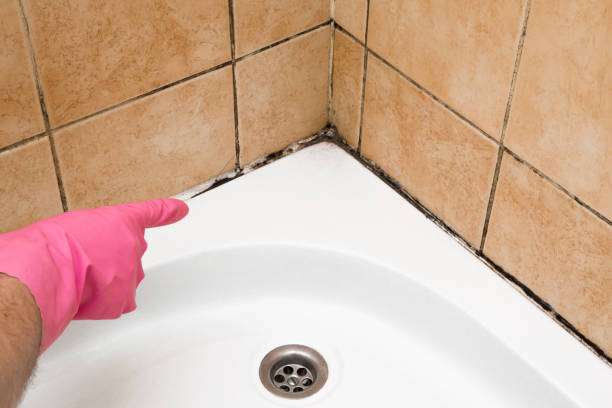 Best Mold Testing  in Ucon, ID
